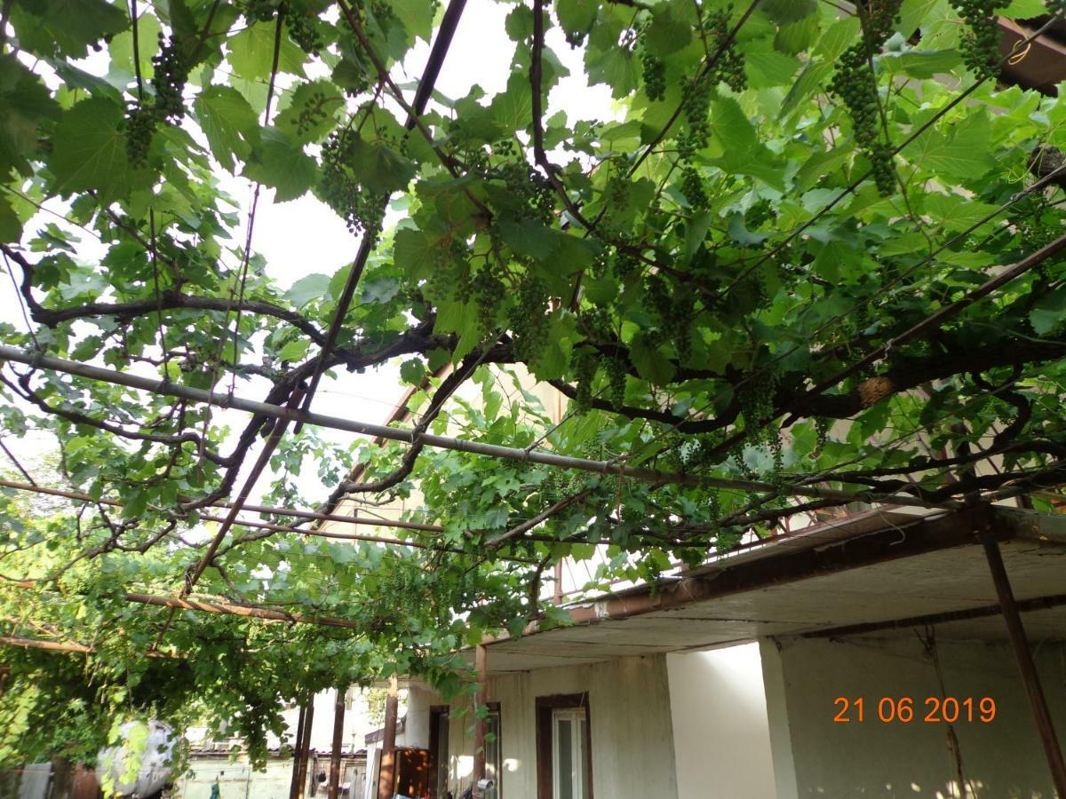 My Home Udabno Exterior photo
